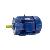 မြင့်မားသောစွမ်းဆောင်ရည် induction motor